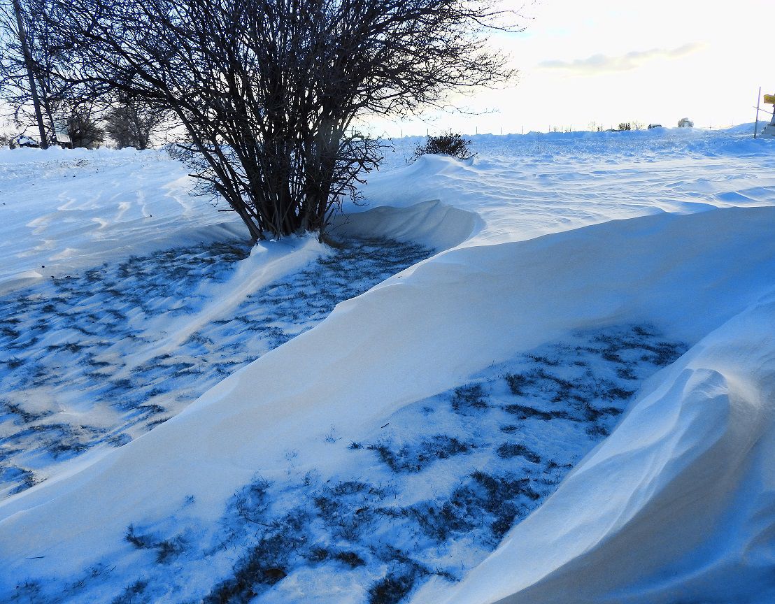 Snow